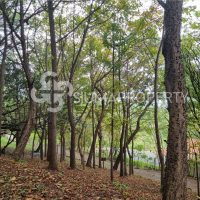 0b5105ca-ecbe-11ef-9f4c-02424b020a6d