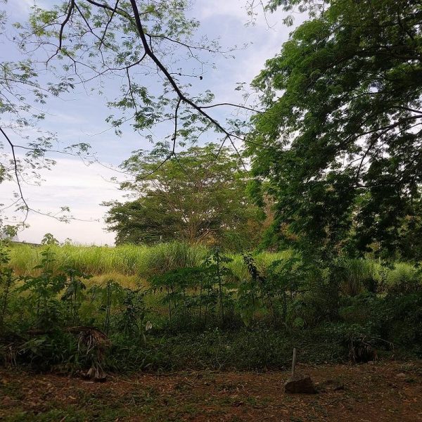VENTA DE TERRENO EN AMADOR-LOMA TERRACA. CON TASA DE INTERÉS 3.99%