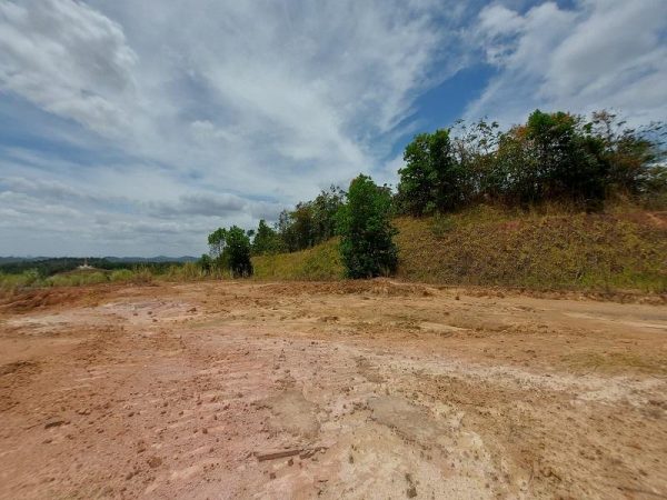 VENTA -TERRENO PARA DESARROLLO PEGREGAL- 1Ha-CON TASA DE INTERÉS 3.99%