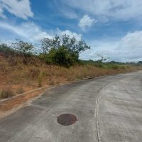 c3355fdc-2c25-11f0-9b79-02424b020a6d