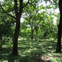 e4c0e636-ecbe-11ef-aa96-02424b020a6d