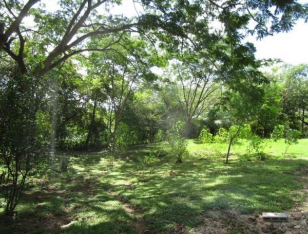 TERRENO- 6,650 M2 -SAJALICES DE 6650 M2 CON EDIFICACIÓN