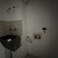 IMG_2484 2